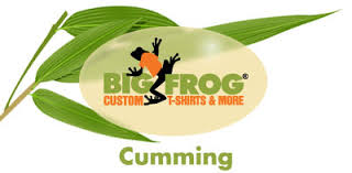 BIG FROG 